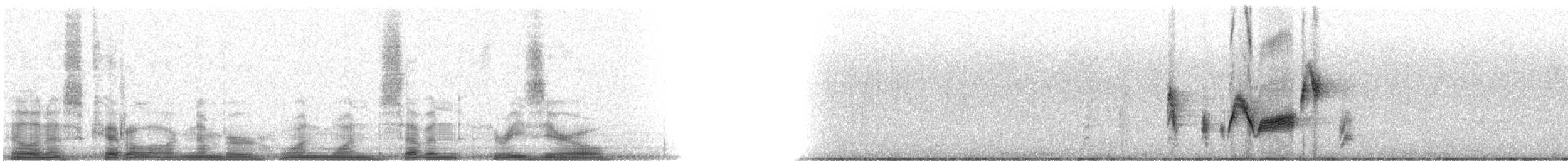 Dickschnabelvireo - ML11730