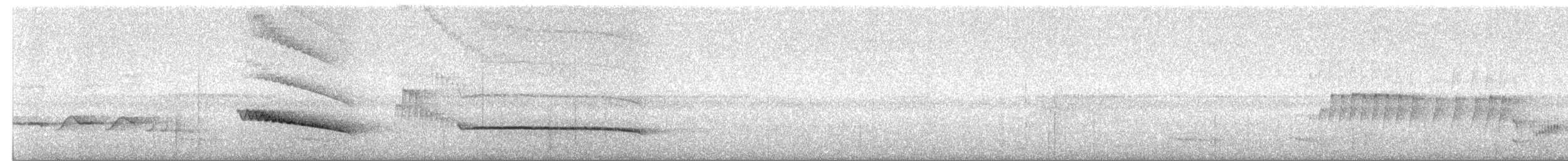 Кокоа плямистий - ML117301521
