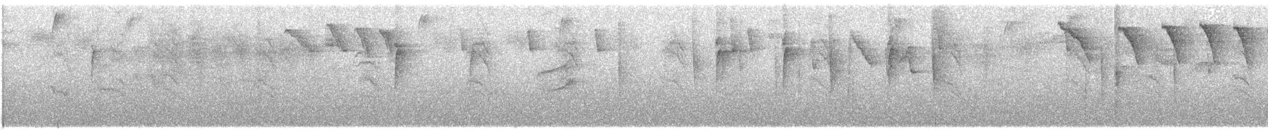 Montane Woodcreeper - ML117304151