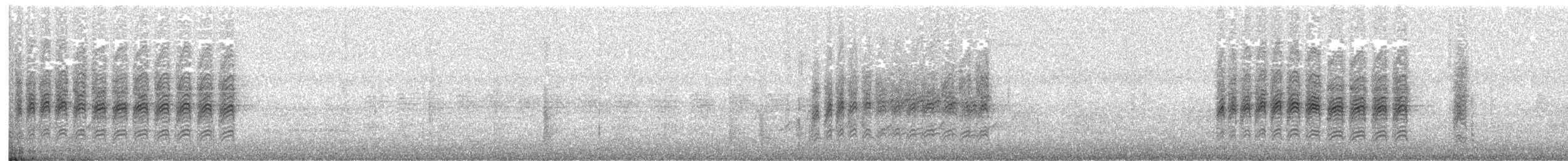 カロライナコガラ - ML117354241