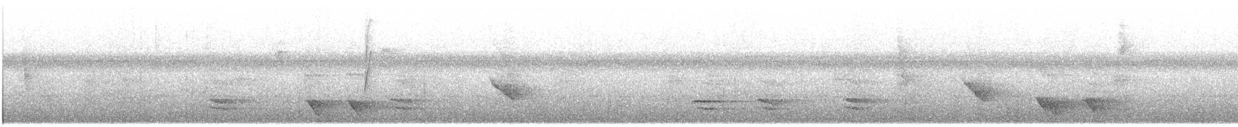 Black-chested Jay - ML117369611