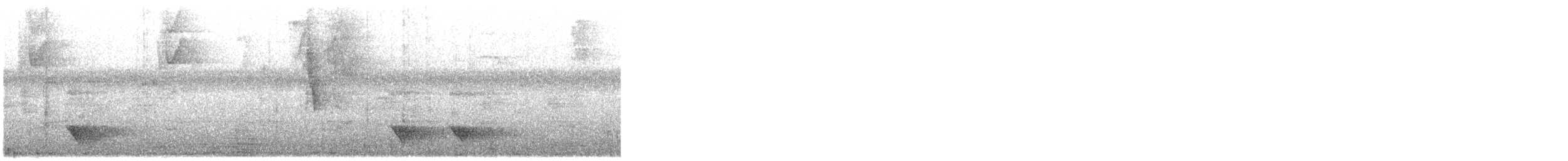 Black-chested Jay - ML117370351