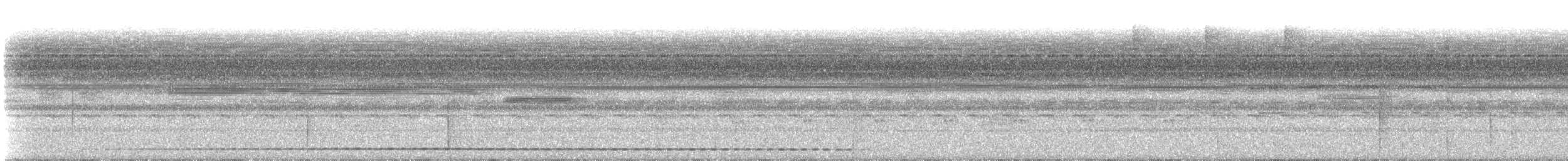 Рораймская совка [группа napensis] - ML117373721