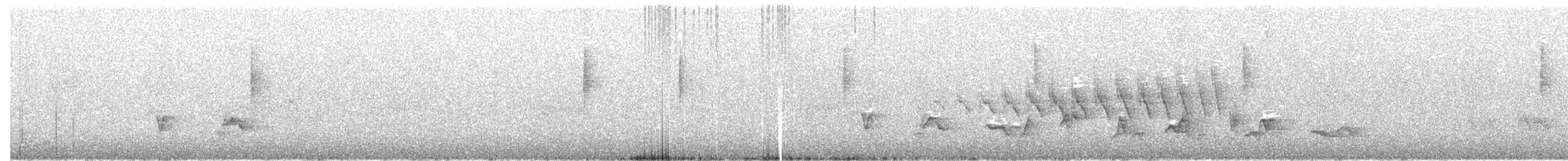 Grace's Warbler - ML117445971
