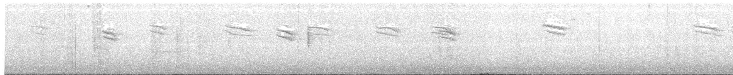 Spotted Flycatcher - ML117482791