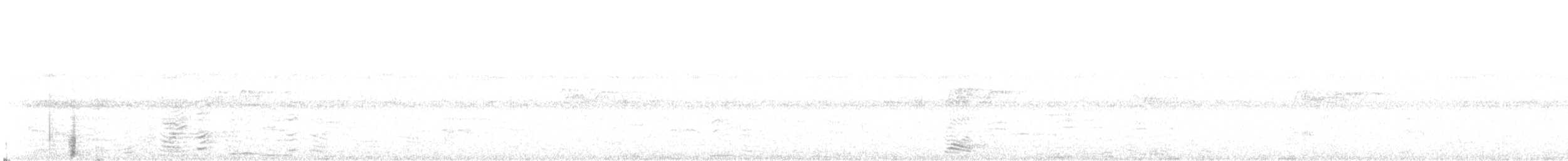 Cava Islıkçı Ördeği - ML117497731