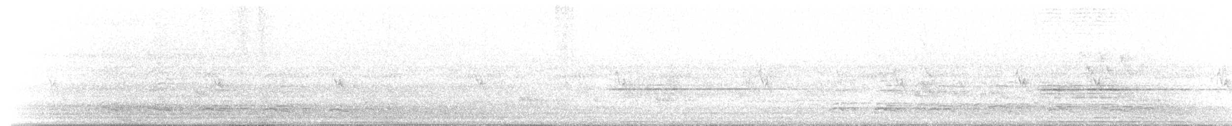 Ібіс сивоперий - ML117606191
