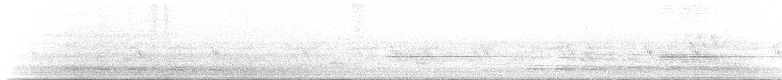 Ibis burubeltza - ML117606191