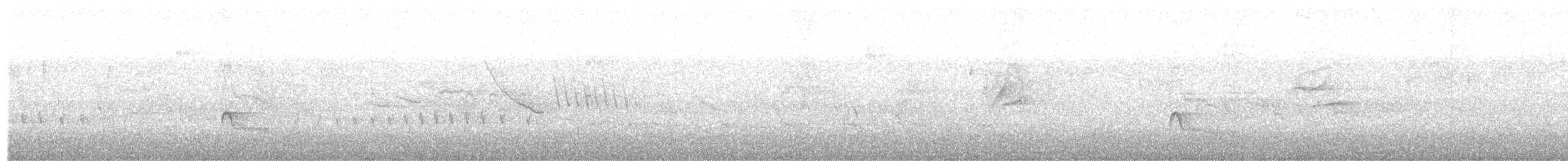 Еленія короткодзьоба - ML117636561