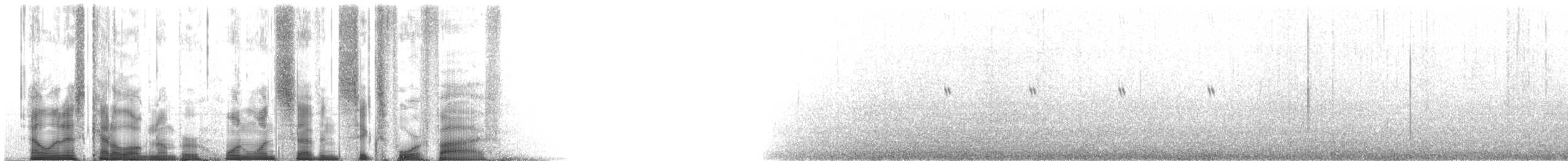 Petrel Cahow - ML117645