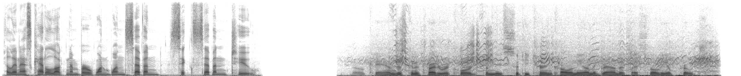 rybák černohřbetý - ML117672