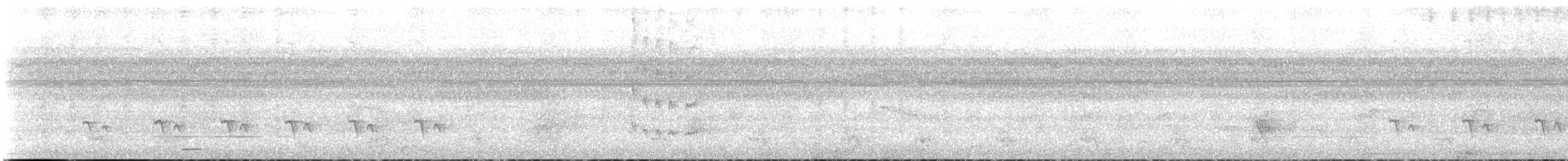 Stripe-chested Antwren - ML117749321