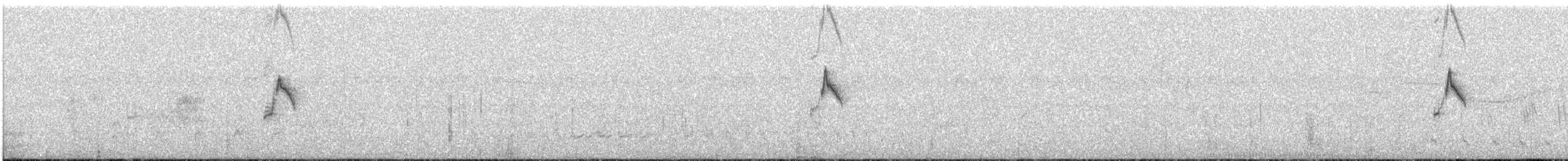 Тиранчик-короткодзьоб південний - ML117786541