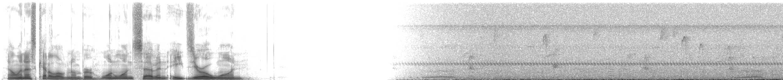 Eastern Chipmunk - ML117801