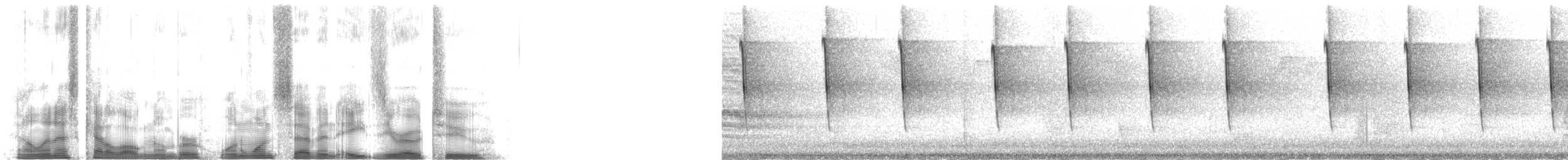 Eastern Chipmunk - ML117802