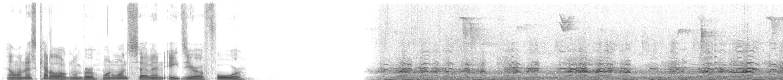 Canada Goose - ML117804