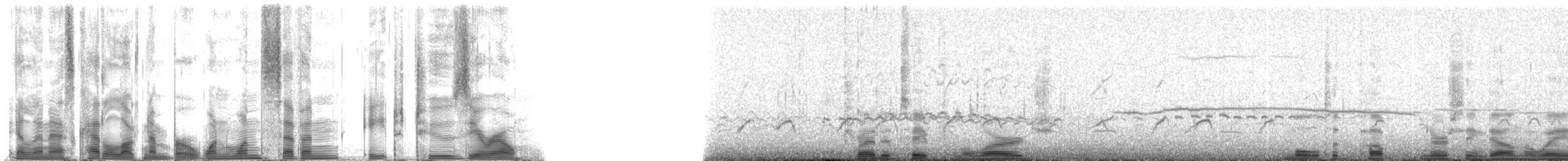 Hawaiian Monk Seal - ML117820