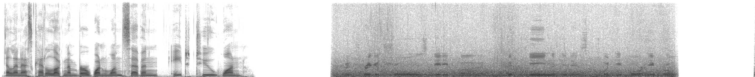 Hawaiian Monk Seal - ML117821