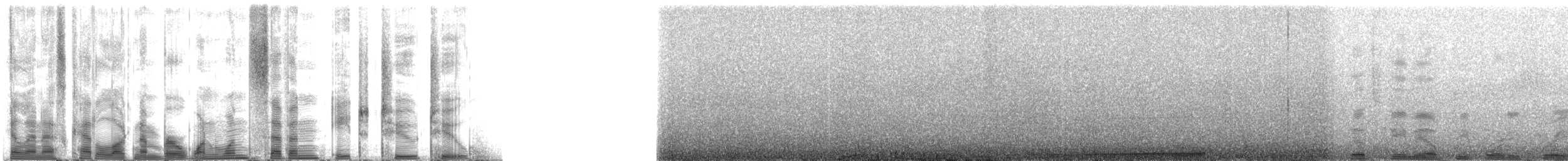 Hawaiian Monk Seal - ML117822