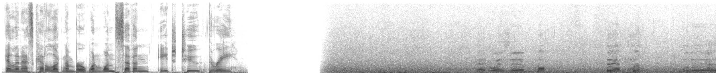 ハワイモンクアザラシ - ML117823