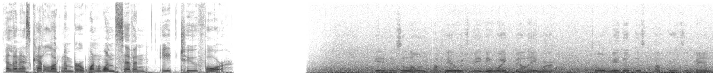 Hawaiian Monk Seal - ML117824