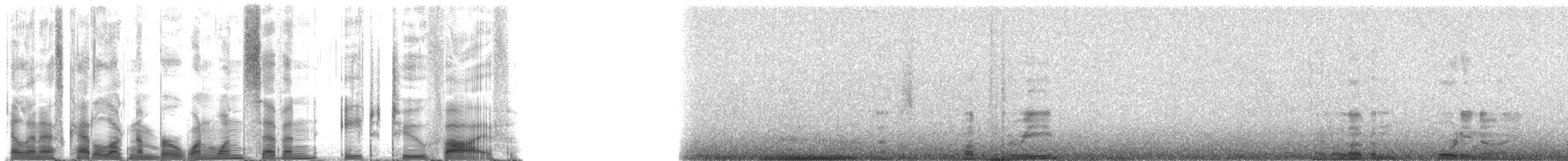 Hawaiian Monk Seal - ML117825