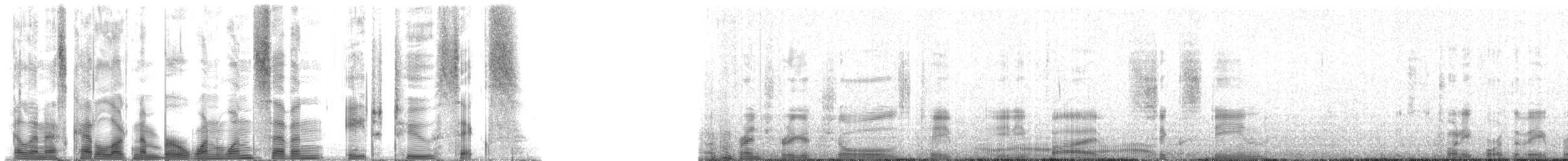 Hawaiian Monk Seal - ML117826