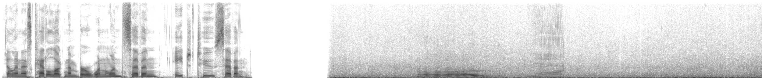 Hawaiian Monk Seal - ML117827