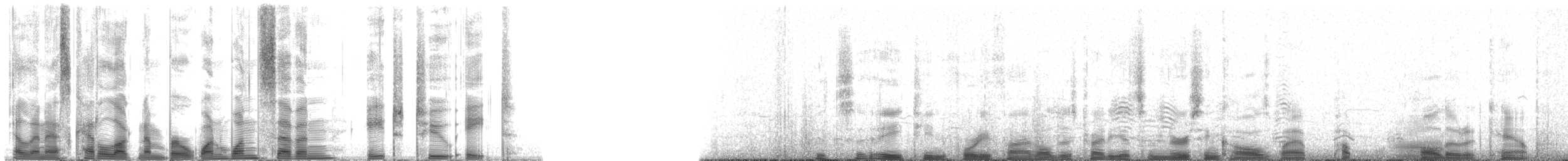 Hawaiian Monk Seal - ML117828