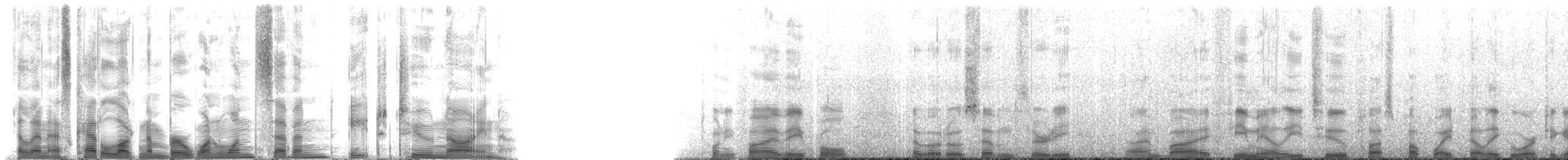 Hawaiian Monk Seal - ML117829