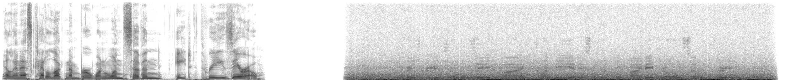 Hawaiian Monk Seal - ML117830