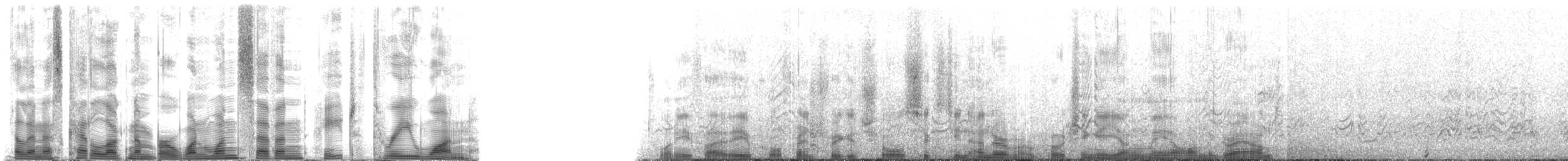 Hawaiian Monk Seal - ML117831