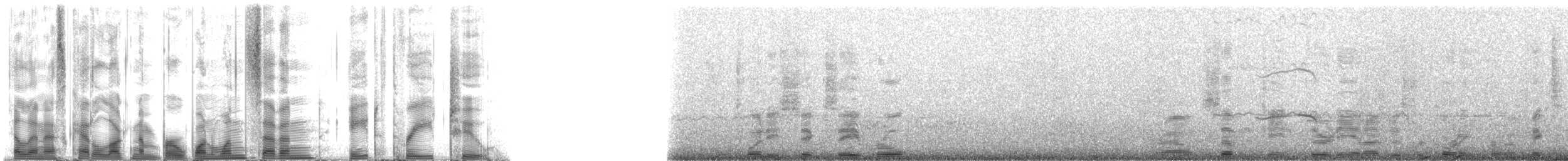Hawaiian Monk Seal - ML117832