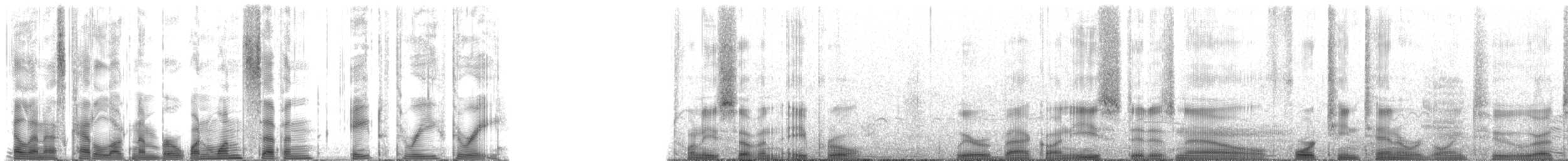 Hawaiian Monk Seal - ML117833