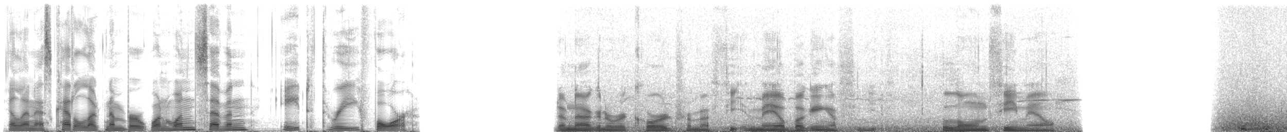 Hawaiian Monk Seal - ML117834