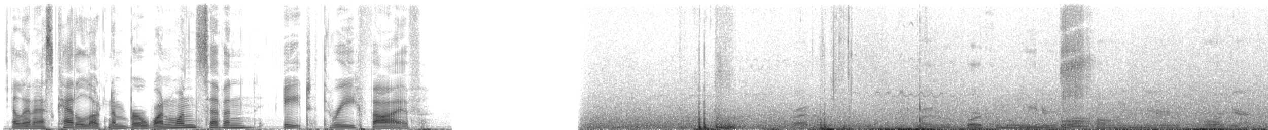 Hawaiian Monk Seal - ML117835