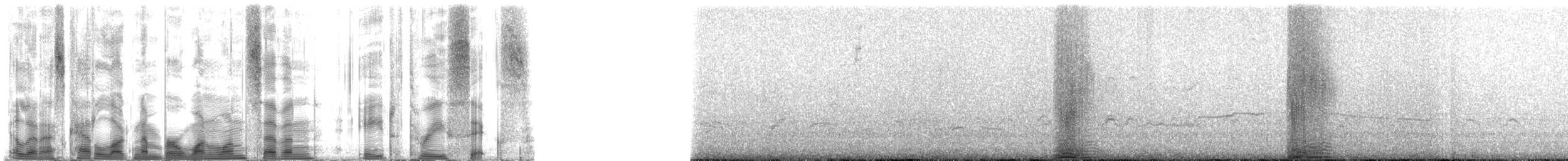 Hawaiian Monk Seal - ML117836