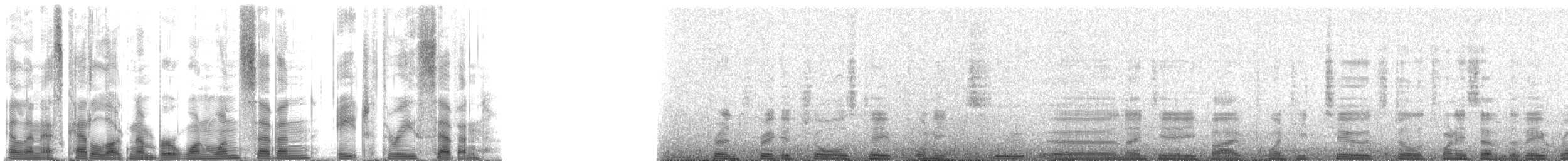 Hawaiian Monk Seal - ML117837