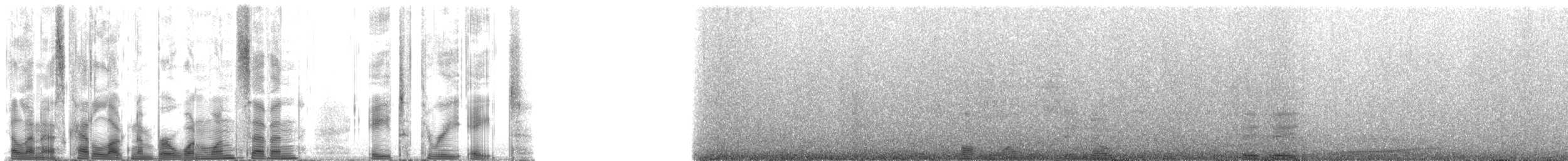 Hawaiian Monk Seal - ML117838