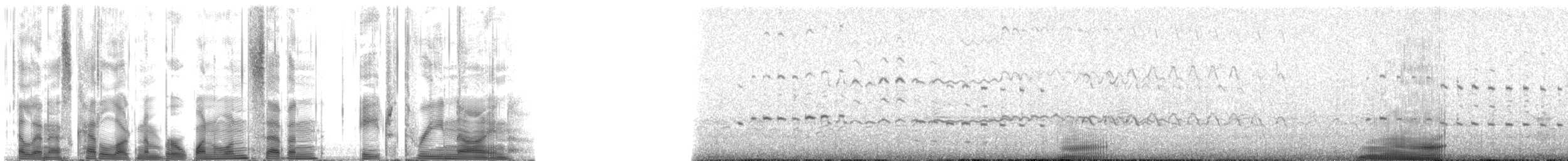 Hawaiian Monk Seal - ML117839