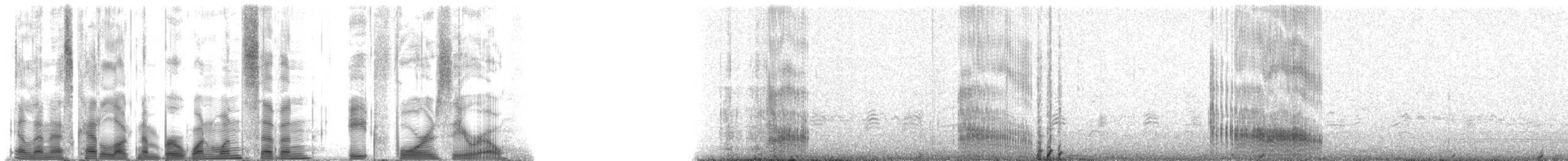 Hawaiian Monk Seal - ML117840