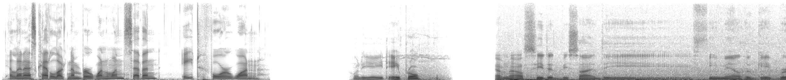 Hawaiian Monk Seal - ML117841