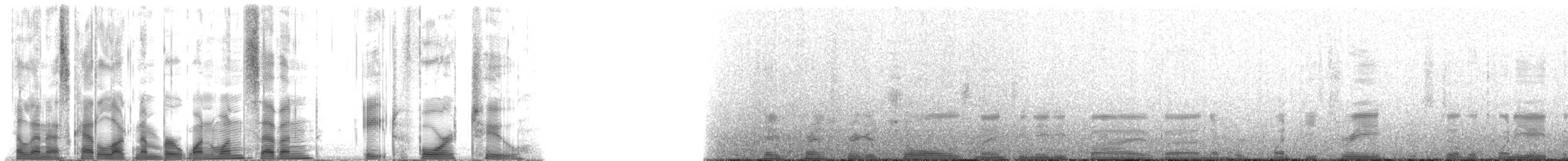 Hawaiian Monk Seal - ML117842