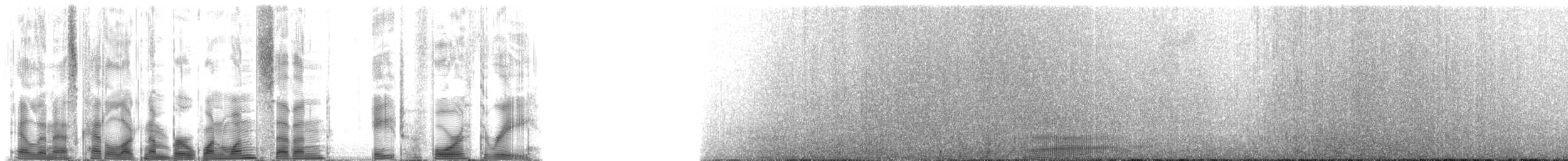 Hawaiian Monk Seal - ML117843