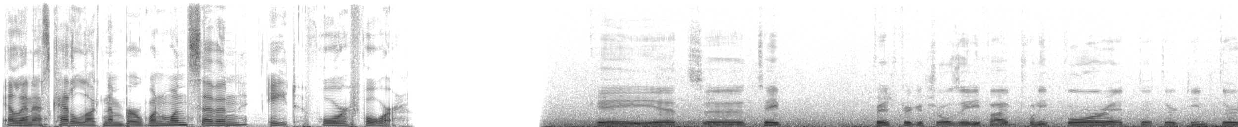 Hawaiian Monk Seal - ML117844