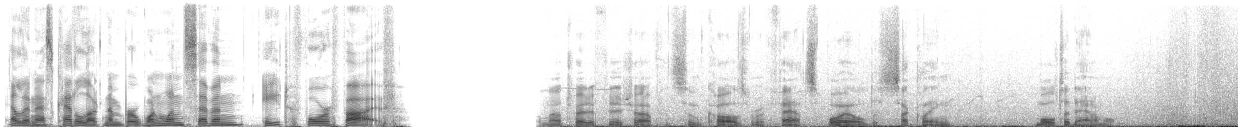 Hawaiian Monk Seal - ML117845