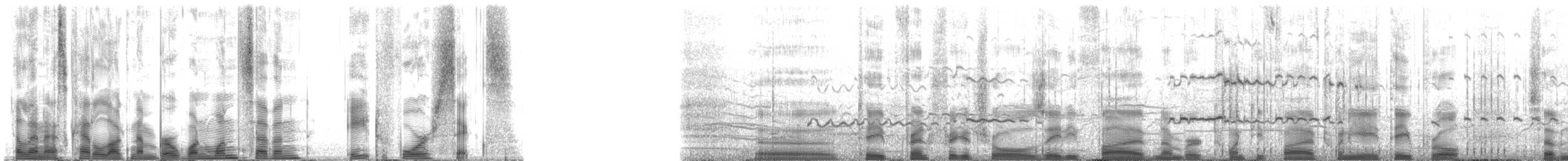 Hawaiian Monk Seal - ML117846