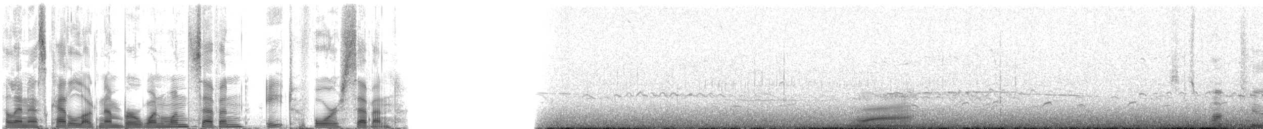 Hawaiian Monk Seal - ML117847