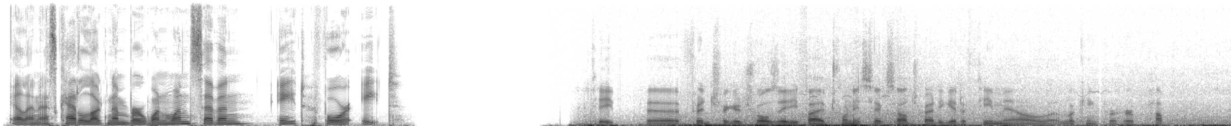 Hawaiian Monk Seal - ML117848