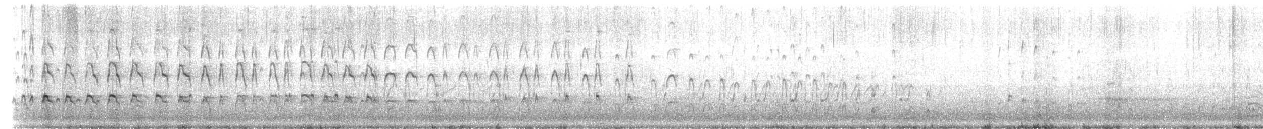 Poyrazkuşu (ostralegus/longipes) - ML117849371